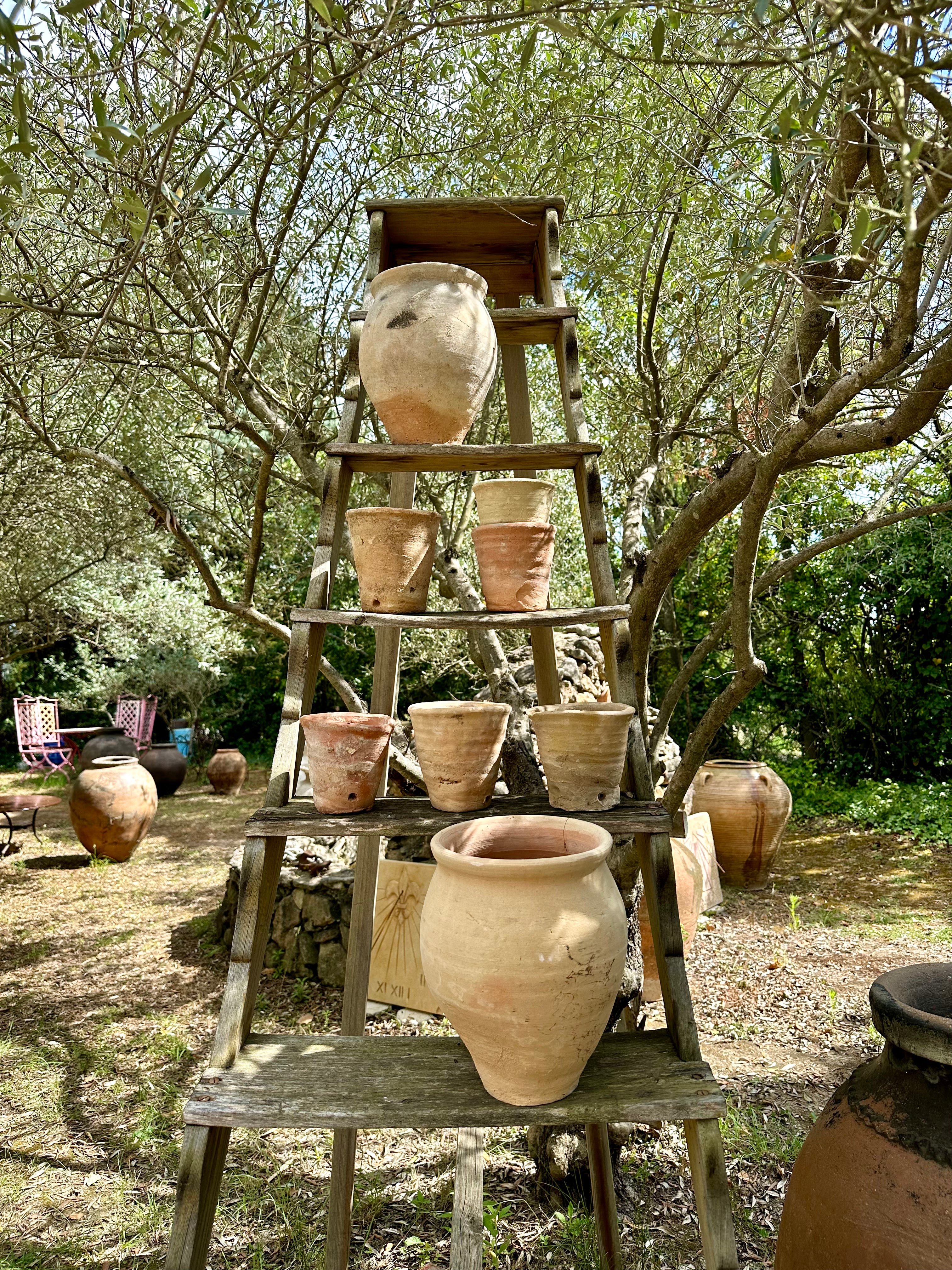 Jarres et poteries anciennes sous un olivier en Provence