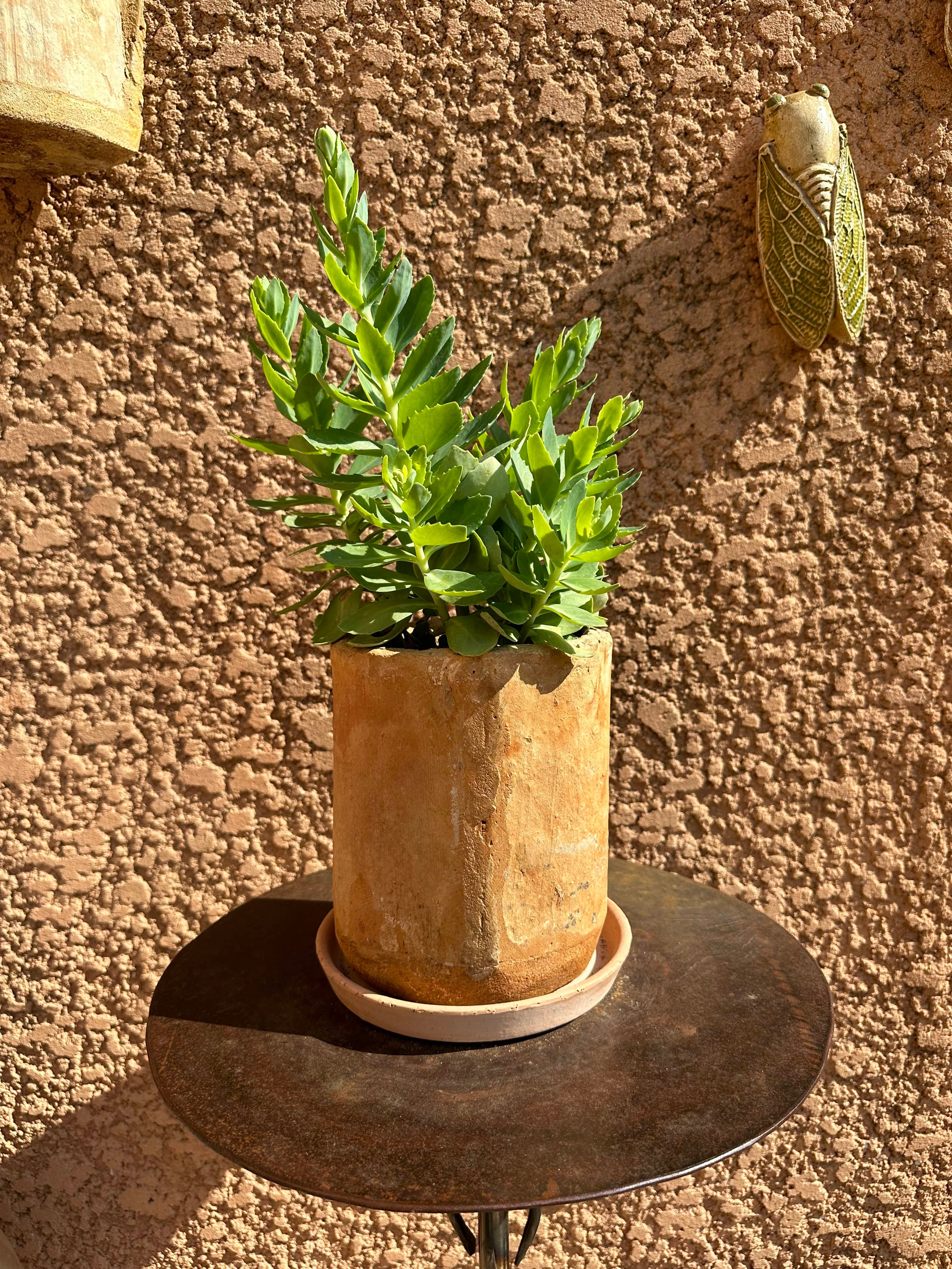 Lourmarin - Pot en tuiles Provençales