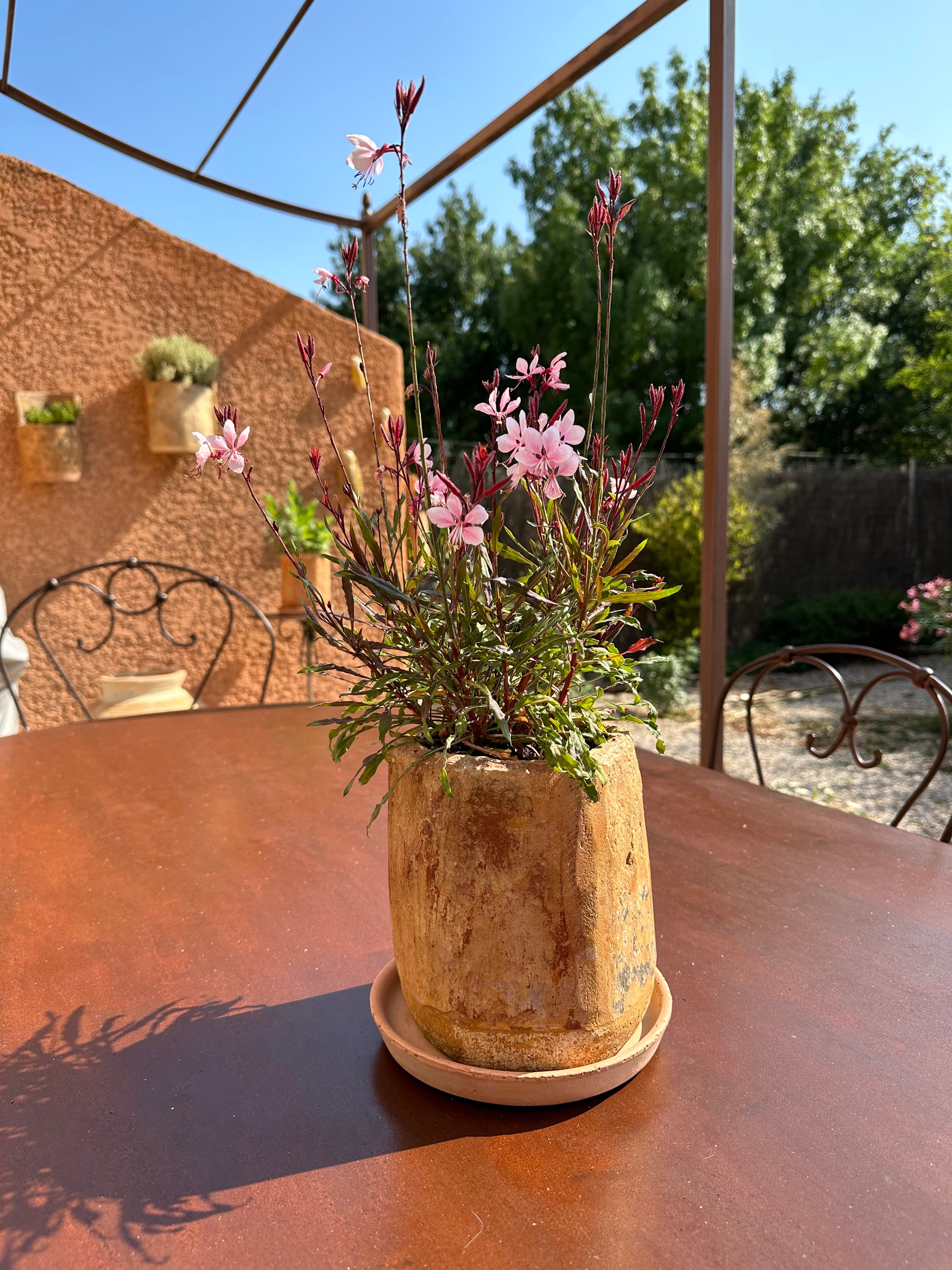 Lourmarin - Pot en tuiles Provençales